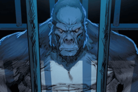 Superman: Why This Netflix Show Will Tell You What to Expect From New DCU Spin-off