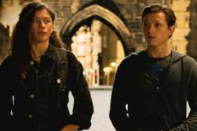 Zendaya and Tom Holland's Secret Wedding Celebration Gets Unexpected New Details