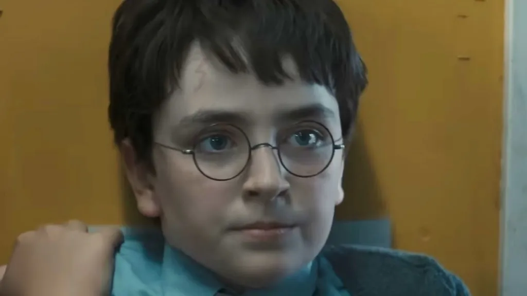 Why Harry Potter Fans Hate TV Show's Divisive Change