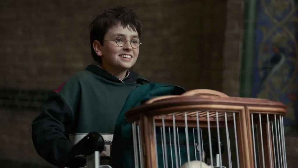 Harry Potter HBO Max TV Show Teaser Video Sets Trailer Release Date, Watch New Footage