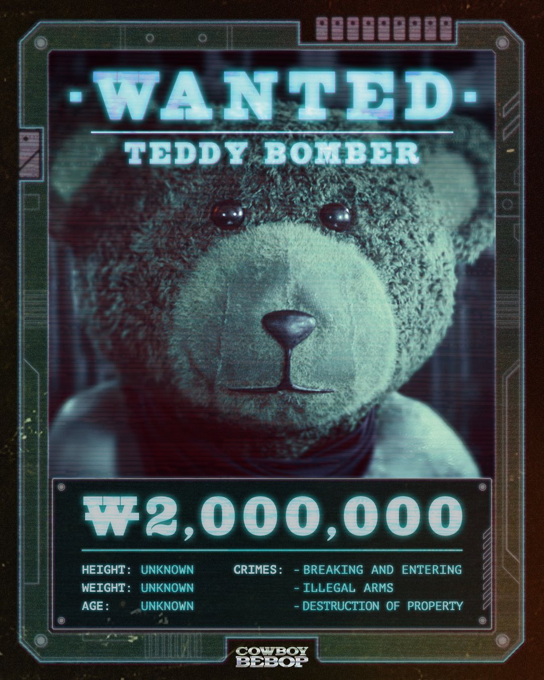 Teddy Bomber
