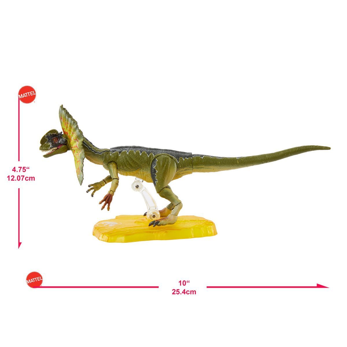 Dilophosaurus size