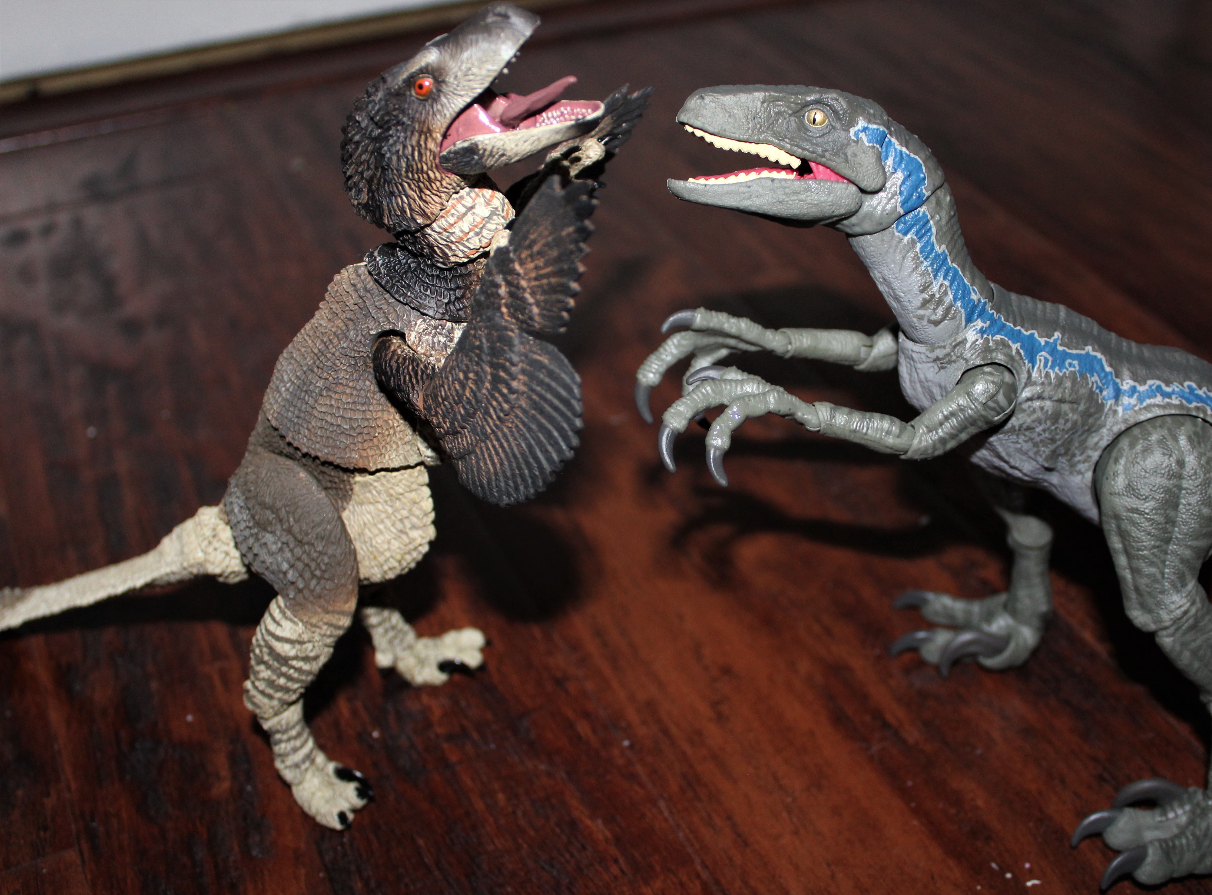 Raptor battle.