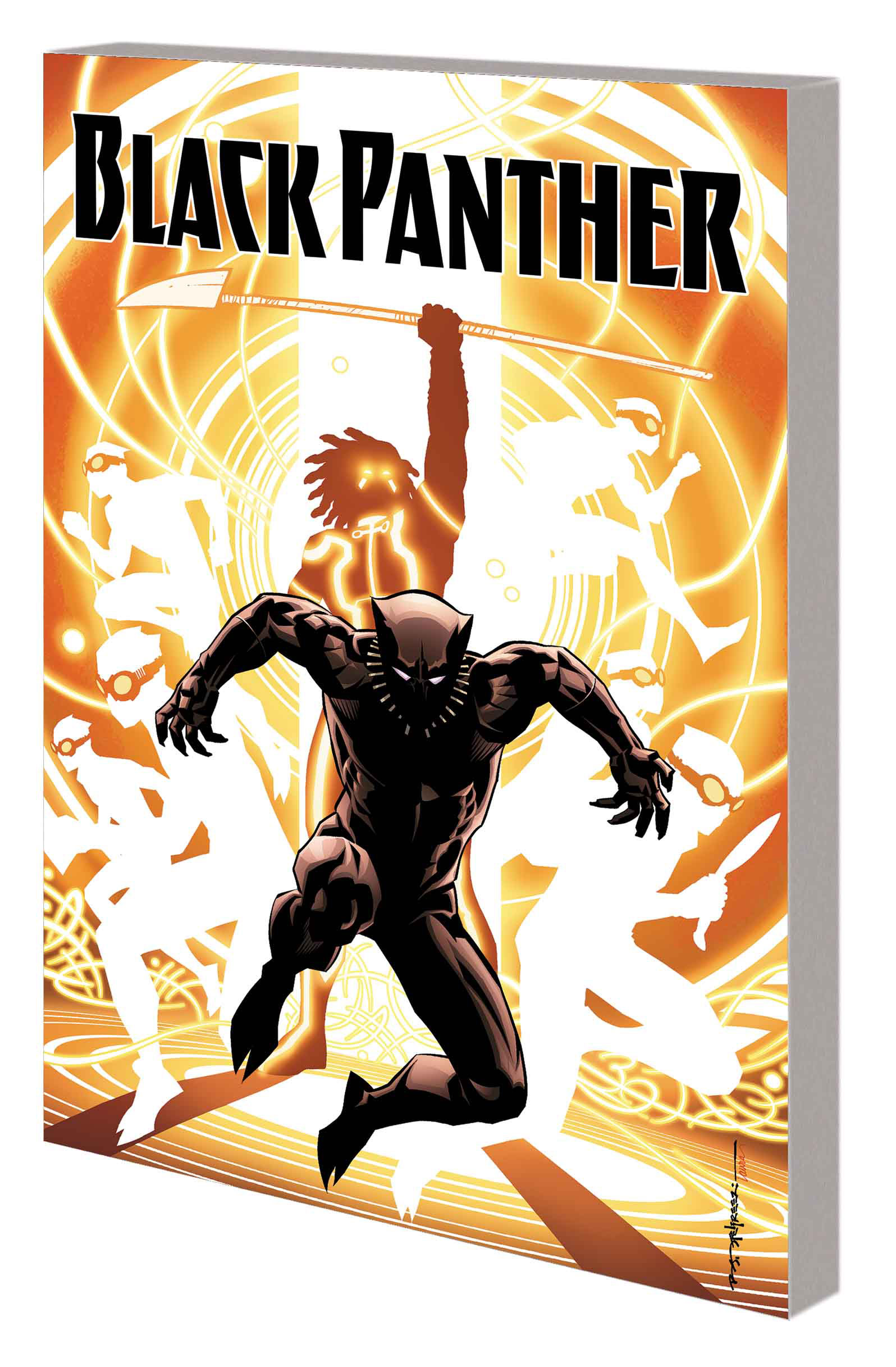BLACK PANTHER: A NATION UNDER OUR FEET BOOK 2 TPB