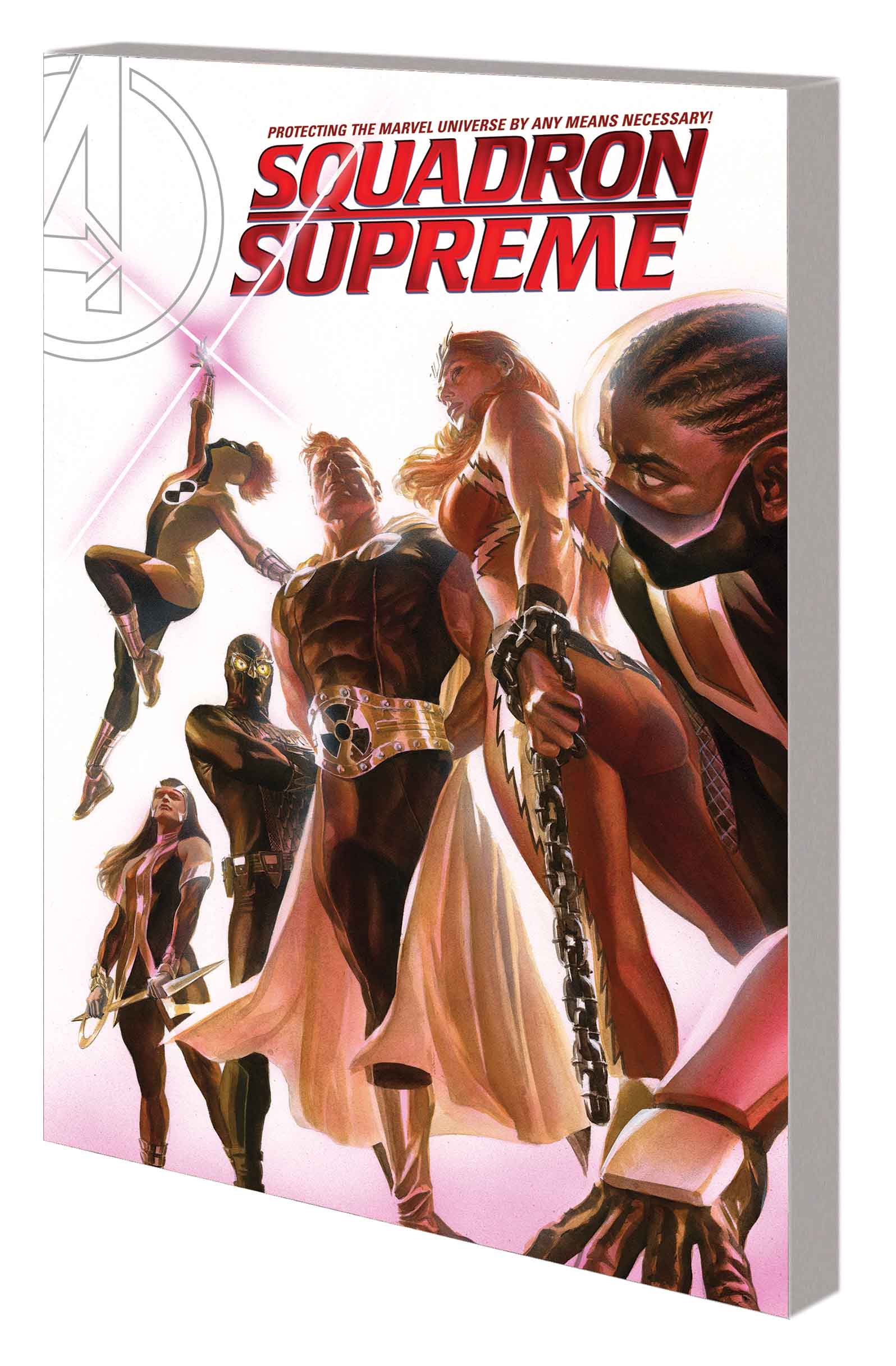 SQUADRON SUPREME VOL. 1: BY ANY MEANS NECESSARY! TPB