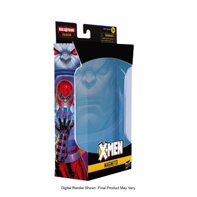 Magneto package