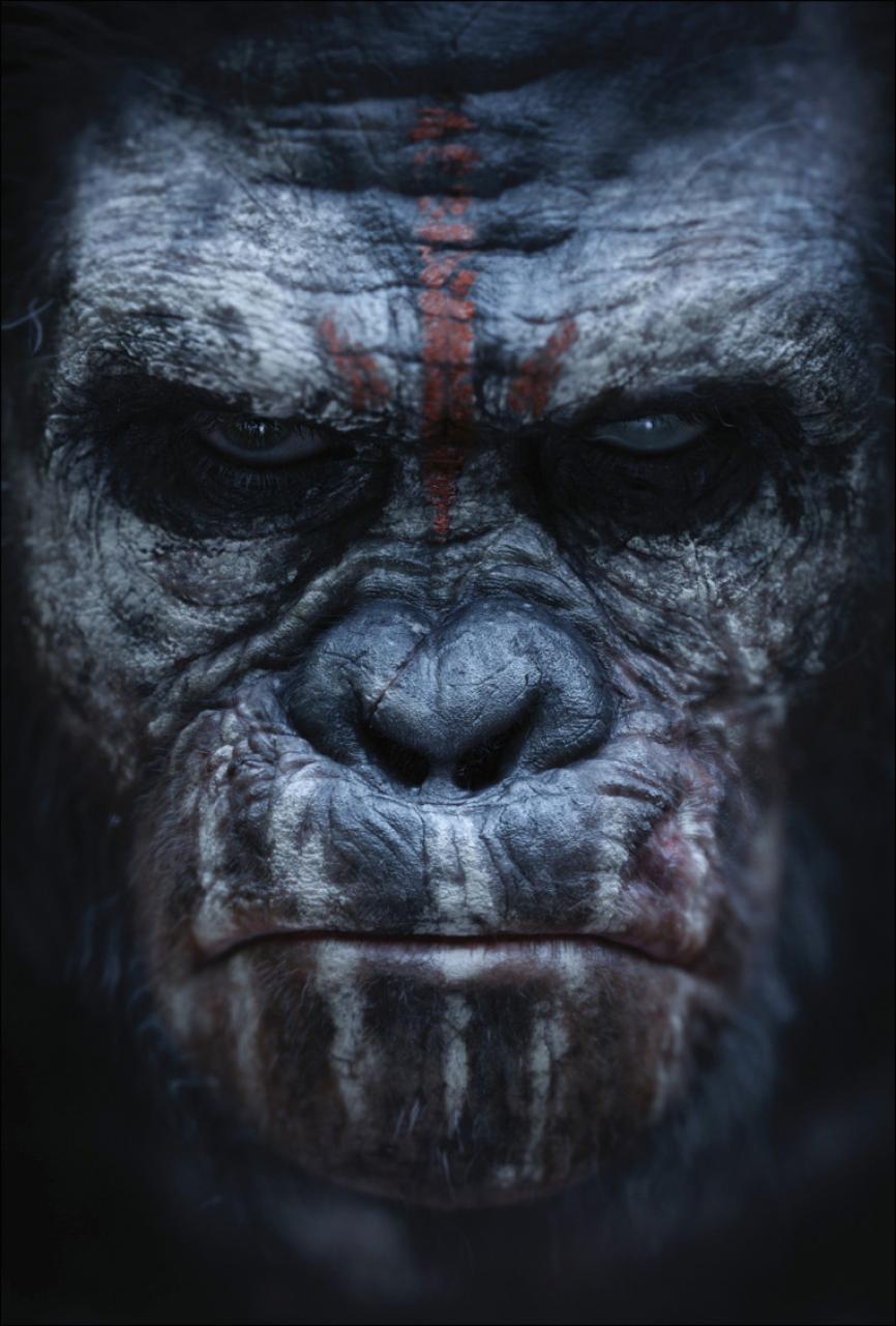 Hr_dawn_of_the_planet_of_the_apes_4
