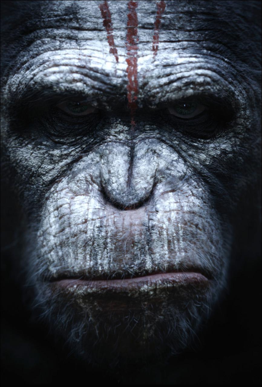 Hr_dawn_of_the_planet_of_the_apes_5