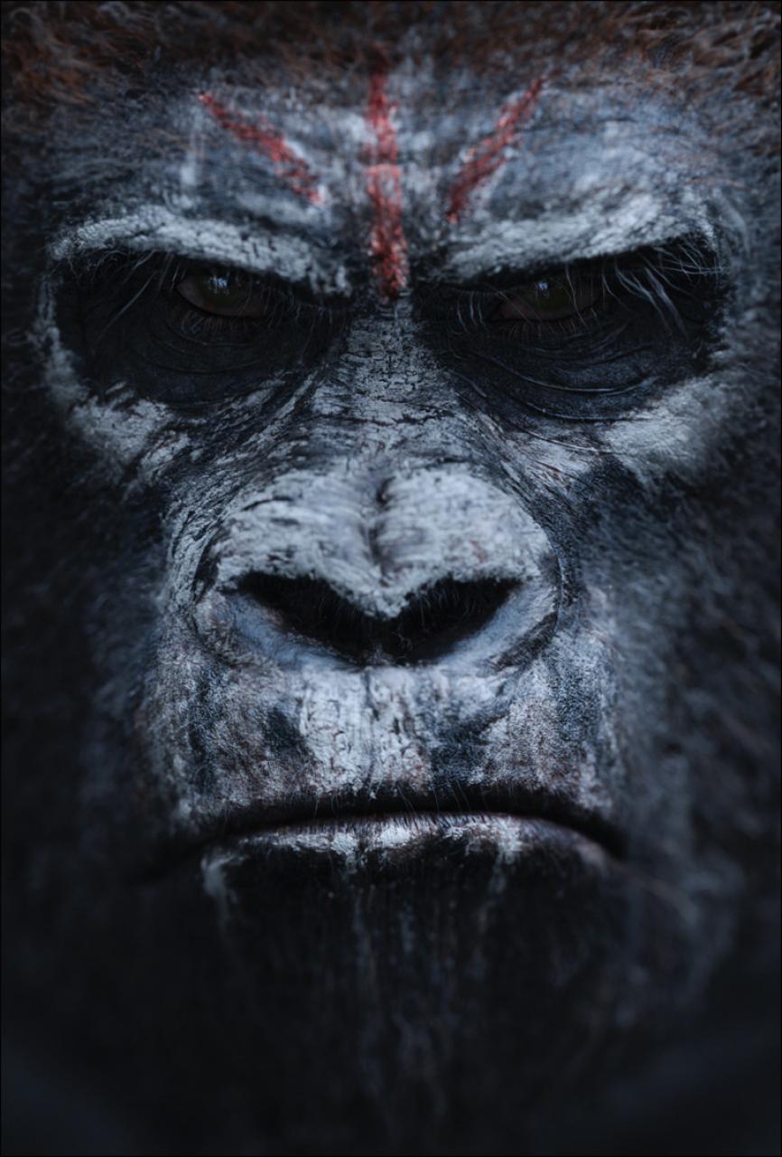Hr_dawn_of_the_planet_of_the_apes_6