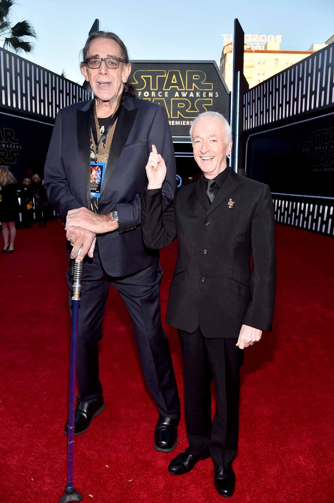 HOLLYWOOD, CA - DECEMBER 14:  Actors Peter Mayhew (L) and Anthony Daniels attend the World Premiere of ?Star Wars: The Force Awakens? at the Dolby, El Capitan, and TCL Theatres on December 14, 2015 in Hollywood, California.  (Photo by Alberto E. Rodriguez/Getty Images for Disney) *** Local Caption *** Peter Mayhew;Anthony Daniels