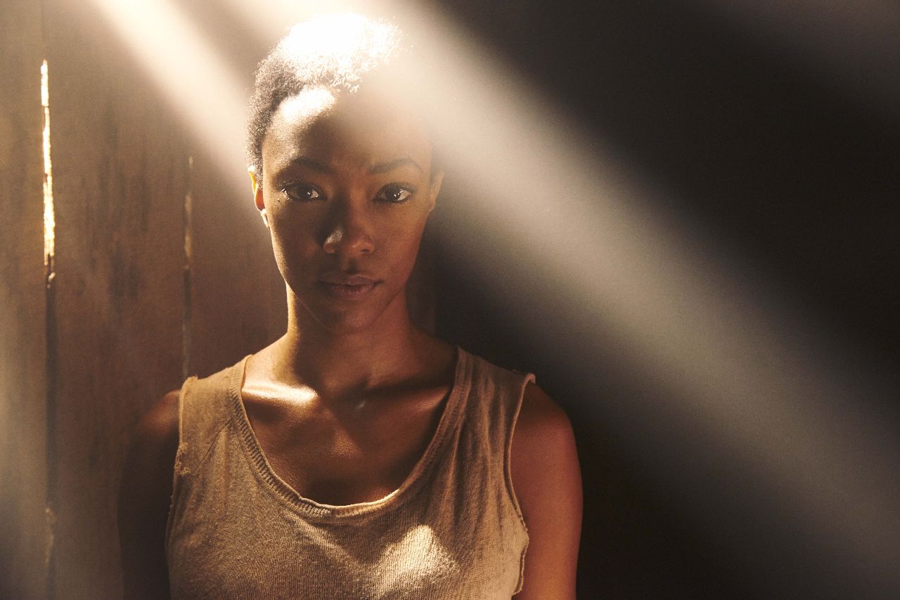 Sonequa Martin-Green as Sasha - The Walking Dead _ Season 5, Gallery - Photo Credit: Frank Ockenfels 3/AMC