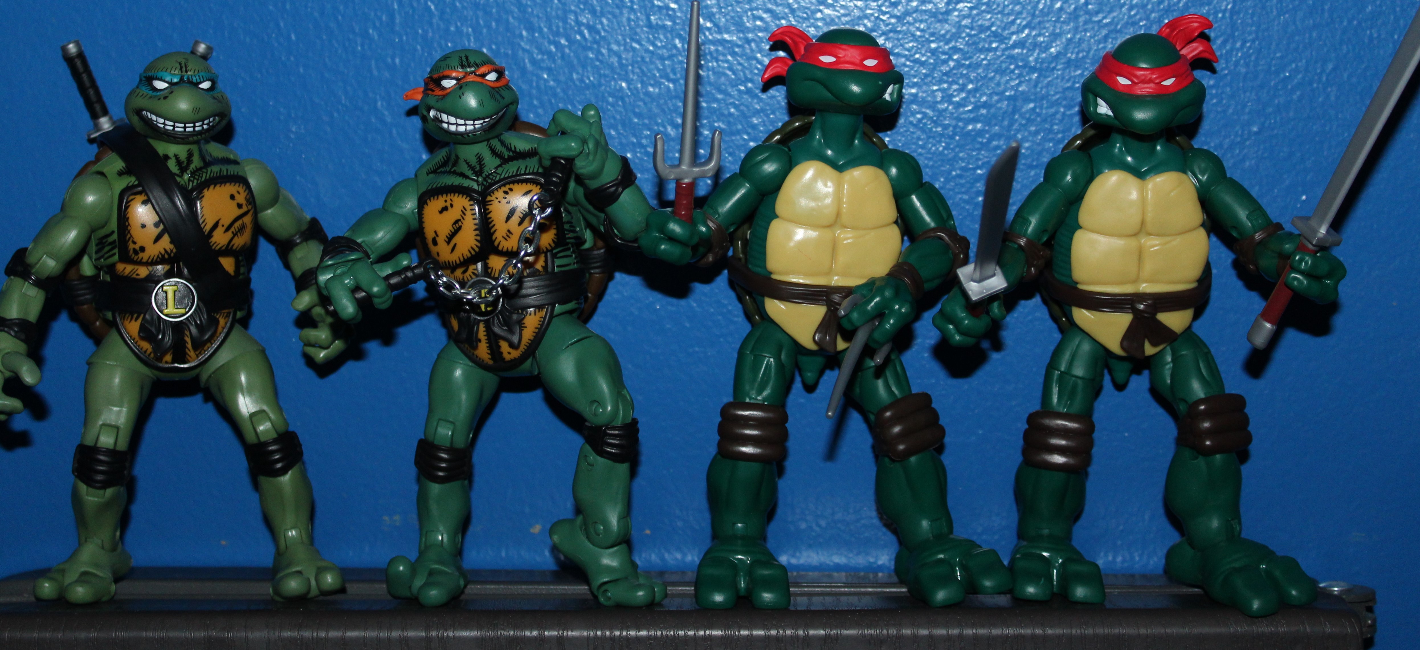 Turtle quartet