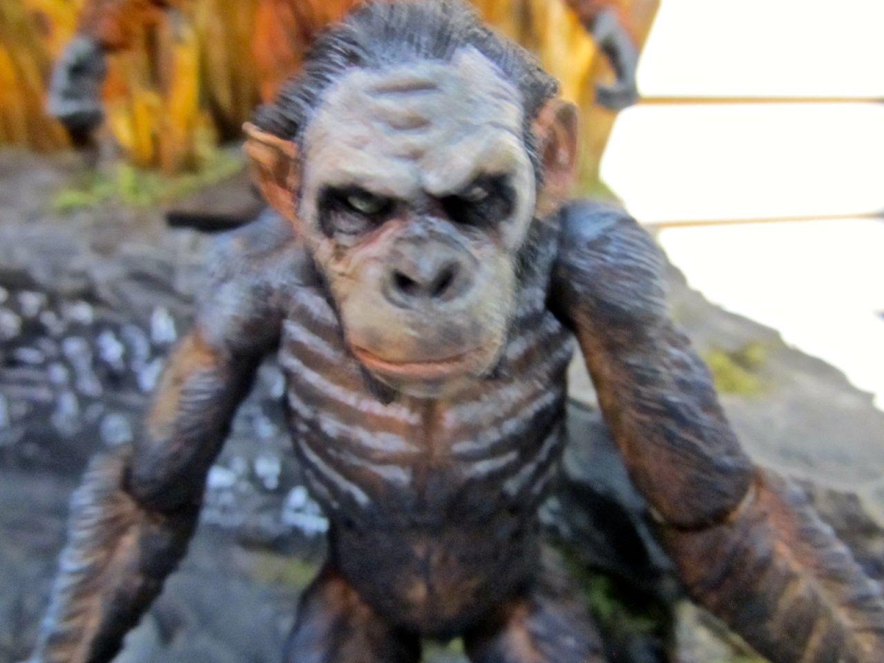 Hr_neca_dawn_of_the_planet_of_the_apes_5